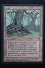 Hollow Trees
