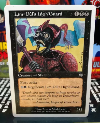 Lim-Dul's High Guard