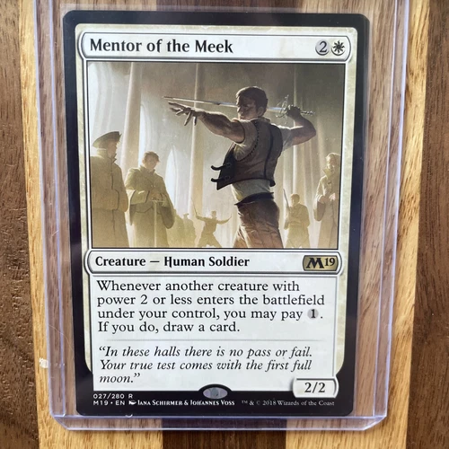 Mentor of the Meek