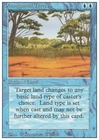 Phantasmal Terrain #