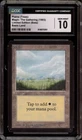 Plains