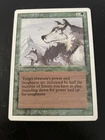 Aspect of Wolf