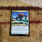 Risen Reef