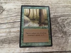 Singing Tree