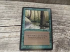 Singing Tree