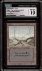 Swamp