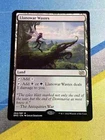 Llanowar Wastes #