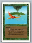Birds of Paradise
