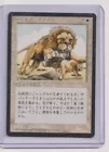 Savannah Lions