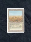 Scrubland #