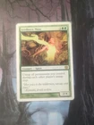 Seedborn Muse