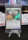 Serra Angel