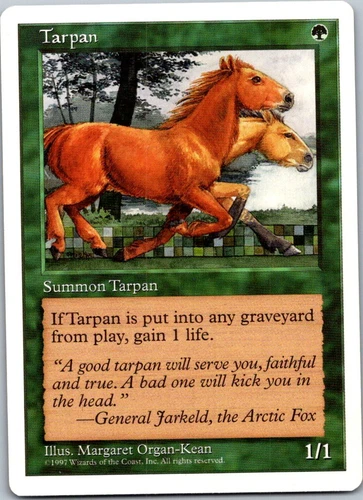 Tarpan
