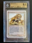 Savannah Lions