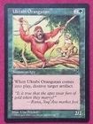 Uktabi Orangutan