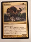 Meglonoth