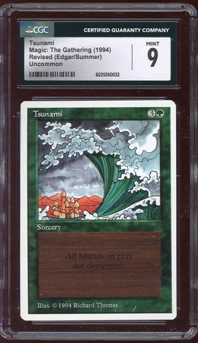 Tsunami