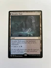 Morphic Pool #