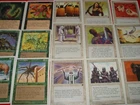 Shield Wall