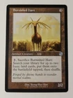 Burnished Hart #
