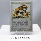 Savannah Lions