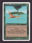 Birds of Paradise