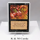 Carrion Ants
