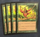 Uktabi Orangutan