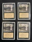 Swamp