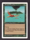 Birds of Paradise