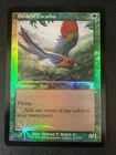 Birds of Paradise