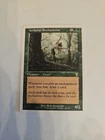 Verduran Enchantress
