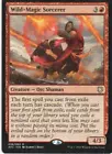 Wild-Magic Sorcerer