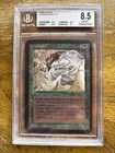 Fungusaur