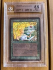 Verduran Enchantress