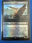 Ancient Brass Dragon [Showcase Foil] #