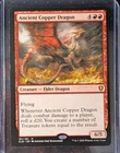 Ancient Bronze Dragon #