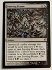 Batwing Brume