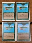Birds of Paradise