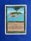 Birds of Paradise #