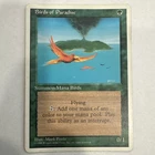 Birds of Paradise