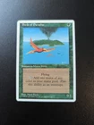 Birds of Paradise