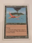 Birds of Paradise
