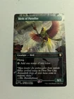 Birds of Paradise #