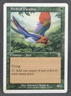 Birds of Paradise [Foil] #