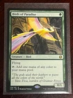 Birds of Paradise #