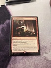 Pegasus Guardian [Foil] #