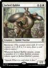 Jacked Rabbit #
