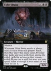 Elder Brain