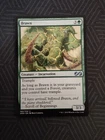 Brawn
